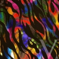 Zebra Multicolor - Holo