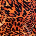 Wildfire Orange