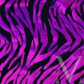 Zebra Orchid - Holo