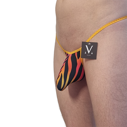 Zebra Rainbow.png