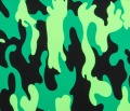 Camo6.png