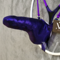 Mystique Dark Plum.png