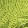 Palette Citrus - Holo