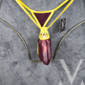 Mesh Metallic Burgundy Yellow4.png