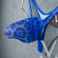 Jaguar Blue Holo.png