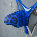 Jaguar Blue Holo2.png