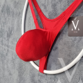 Solid Red.png