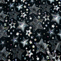 Printed Glitter Stars.png