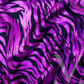 Zebra Orchid Holo.png