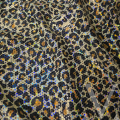 Safari Dots _1 Holo.png
