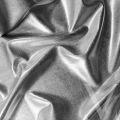 Metallic Silver.png