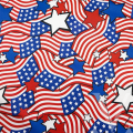 USA Flag.png