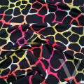 Giraffe Multicolor.png