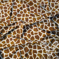 Giraffe Moca.png