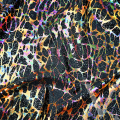 Opal Holo Net.png
