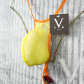 Mesh Yellow Torrid Orange.png