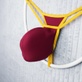 Burgundy Yellow.png