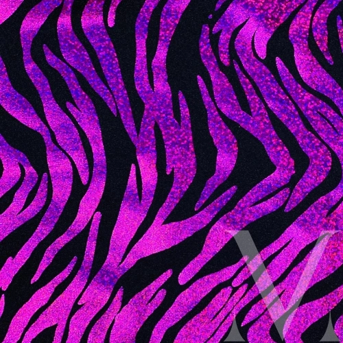 Zebra Orchid - Holo